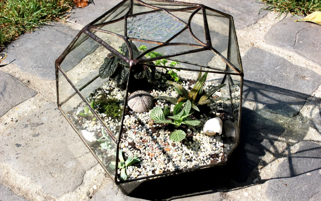 Bonsai csodákról